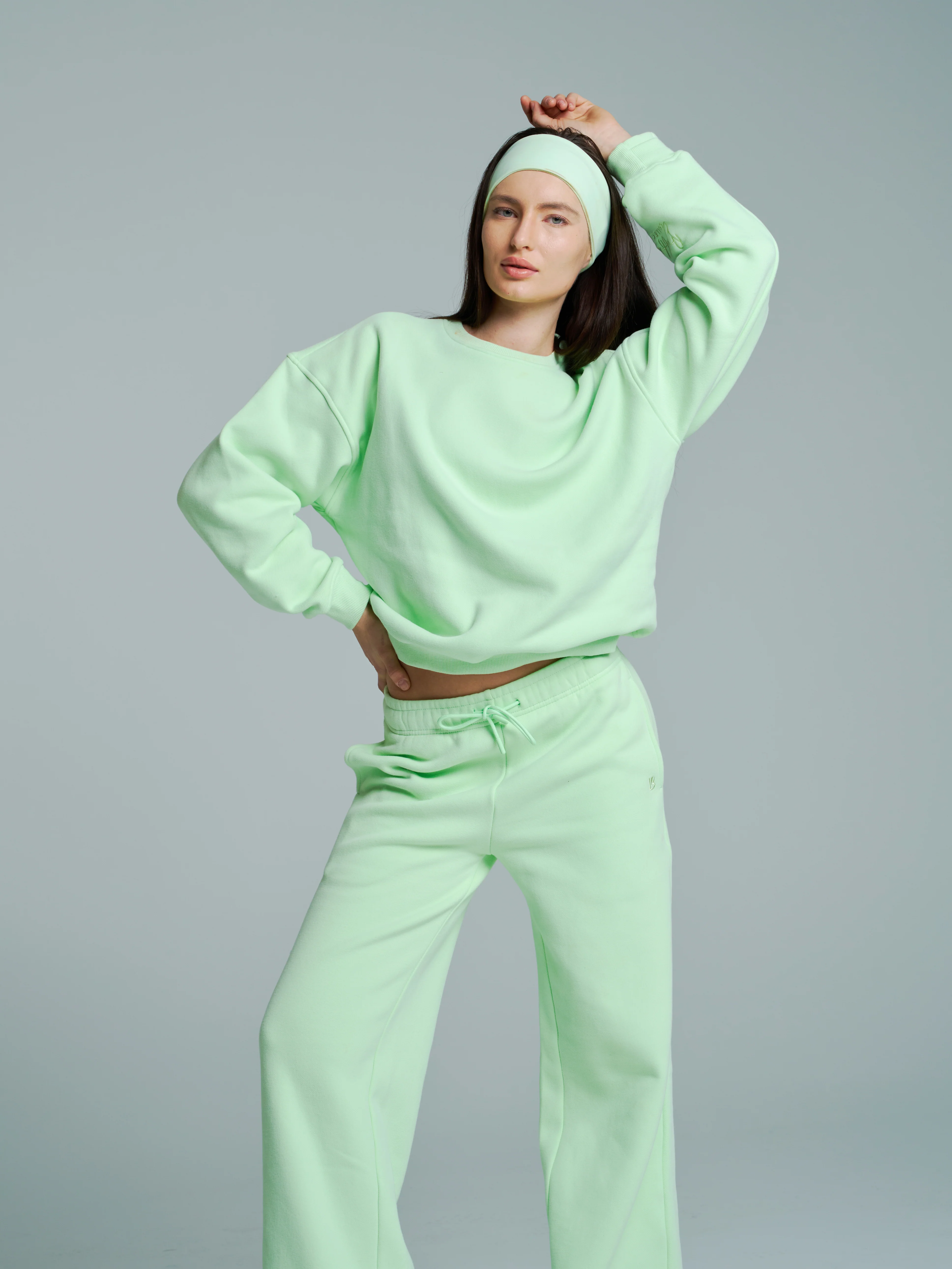 Plush Fleece Crew Pullover - Honeydew - Image 6